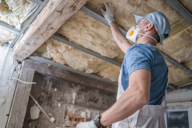 Best Insulation Maintenance and Repair in Gouldtown, NJ